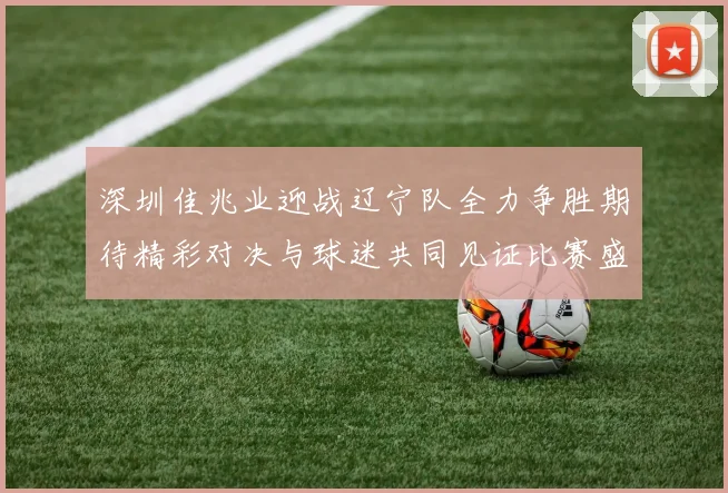 深圳佳兆业迎战辽宁队全力争胜期待精彩对决与球迷共同见证比赛盛况